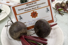 WHGAA_2026_Beetroot-scaled