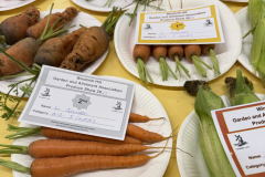 WHGAA_2026_Carrots-scaled