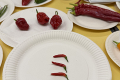 WHGAA_2026_Peppers_Chillies-1-scaled