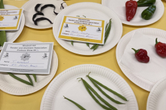 WHGAA_2026_Peppers_Chillies-2-scaled