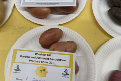 WHGAA_2026_Potatoes-scaled