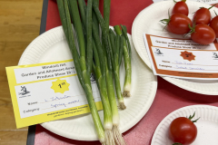 WHGAA_2026_Spring-Onions-scaled
