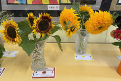WHGAA_2026_Sunflowers-scaled